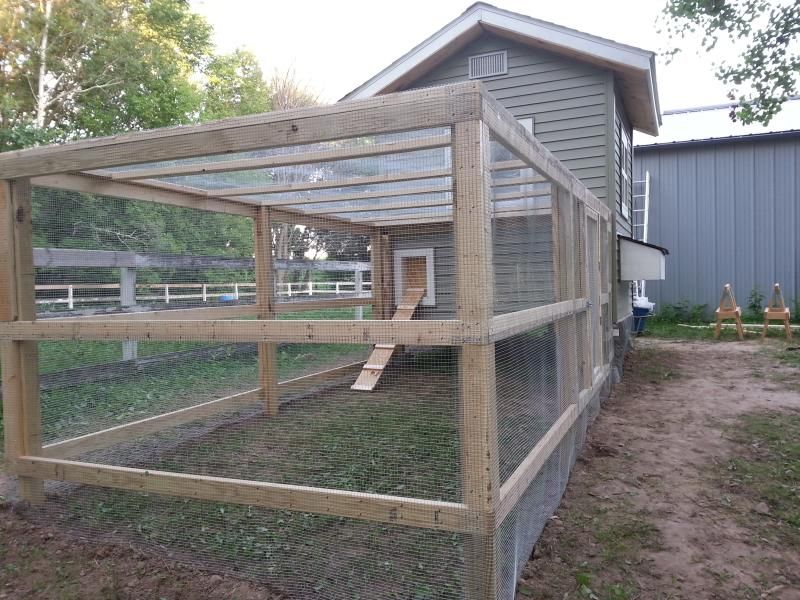 How to build a chicken coop for dummies (or more accurately, by a dummy